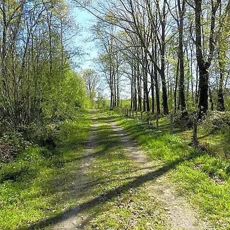 Le Bois De Champia Отель типа 