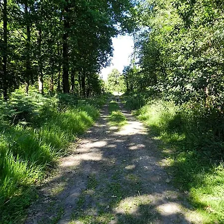 Le Bois De Champia