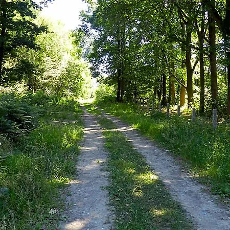 Le Bois De Champia