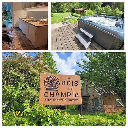Le Bois De Champia Отель типа 