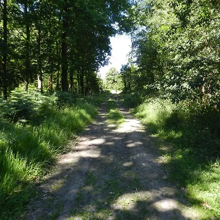 Bed & Breakfast Le Bois De Champia