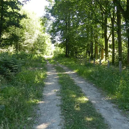 Le Bois De Champia Bed and Breakfast
